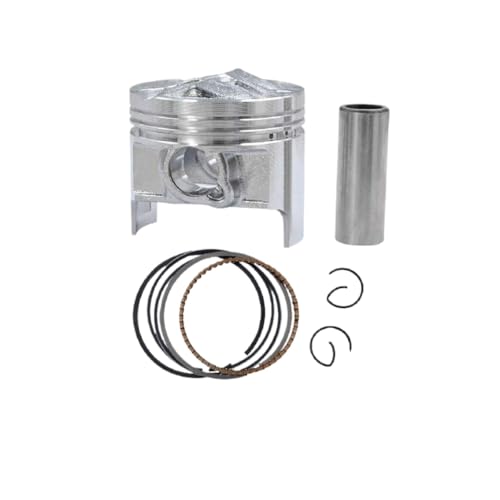 I[goCANZT[V_[{ATCY 49 ~[g 49.25 ~[g 49.5 ~[gsXgOtLbgԃI[goCiƌ݊ GSX250R GJ72A GJ73A GJ74A GSF250(Piston Kit 4