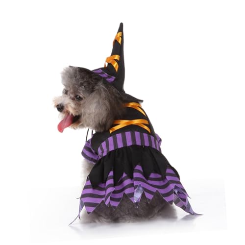 Disfraz de bruja para perro talla S Halloween ORFOFE miniatura 2