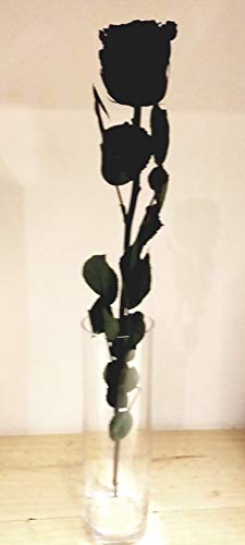 ROSA NATURAL NEGRA ETERNA CON JARRÓN DE CRISTAL. AÑADE TU DEDICATORIA PERSONALIZADA.