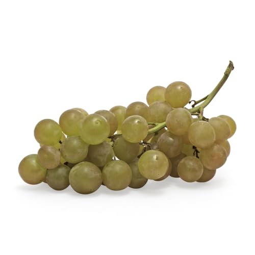 Muscat Grapes, 1 lb