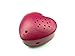 Teddy Mountain Recordable 16