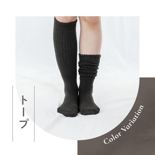 グローバル・ジャパン 湯たんぽみたいなあったかソックス2枚組 GJ_SOCKS の商品画像 7