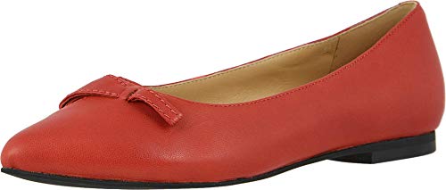 Image of Trotters Erica