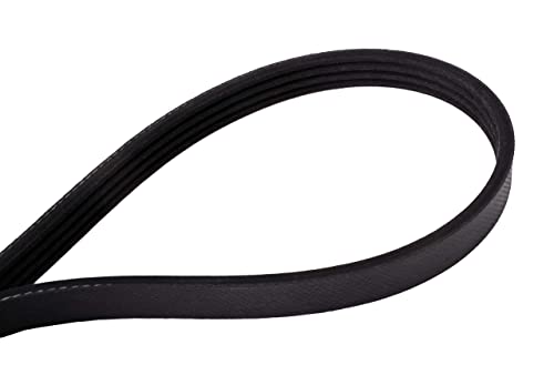 Courroie multi-V Continental 4030440 série OE pour moteur automobile