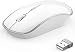 Wireless Mouse for Laptop, JOYACCESS Silent Stream line Optical Cordless Mouse with USB Nano Receiver and High Precision 2400 DPI-Silver+white