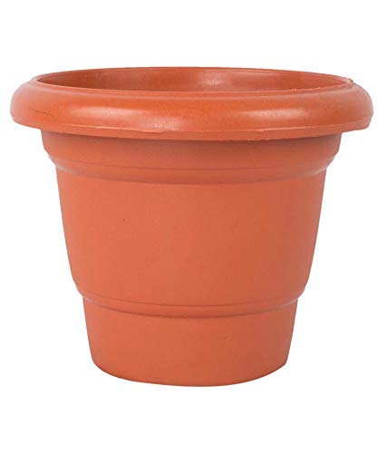 Red Crush Plastic Round Pot (7-inch, Brown, Pack of 9) (B08RB5ZCZM) Amazon Price History, Amazon Price Tracker