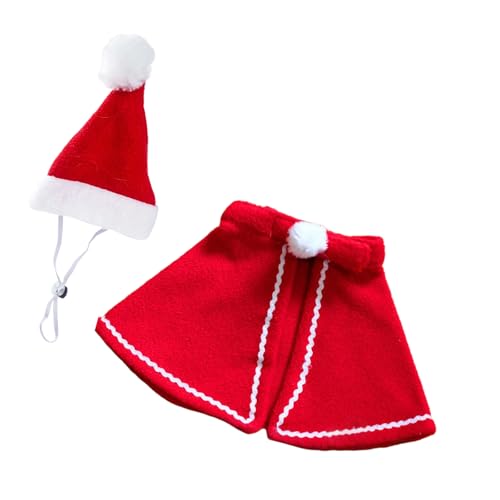 O\ȖXqtzf[LߑNX}XybgRX`[􂦂}g