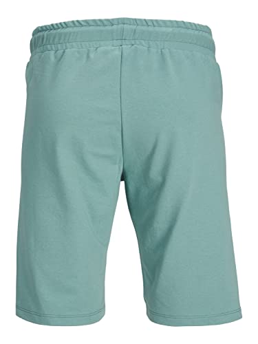 JACK & JONES PLUS JPSTFILO Sweat Shorts FB PLS – Ansicht 2