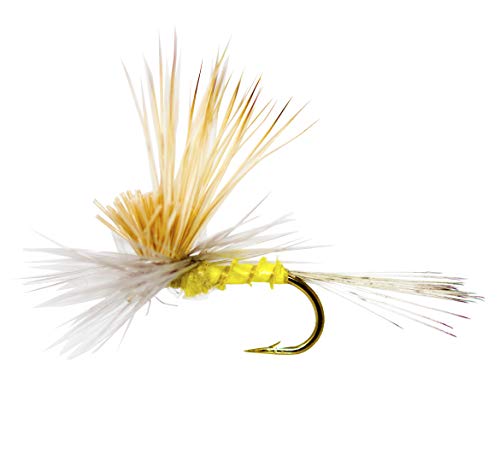 Outdoor Planet 12 Tilt Wing Dun Caddis Mayfly Dry Flies For Trout Fly Fishing Flies Lure Assortment #TOP1