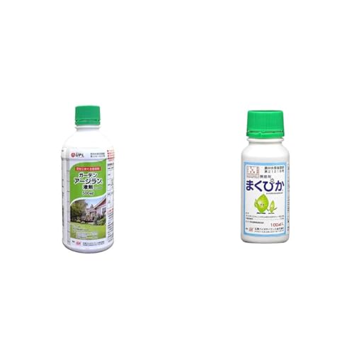 yZbgzΌoCITCGX  Őp K[fA[Wt500ml + _(W) ܂҂ 100ml ޗp