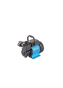 CRI 1.0Hp Royal 100 Self Priming Pump