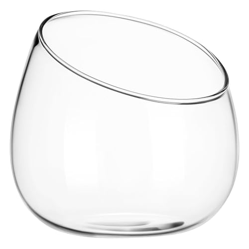 SOLUSTRE Pot de Plante Verre Transparent avec Ouverture Inclinée Terrarium pour Plantes Grasses Bocal de Décoration Intérieure Compact pour Bureau ou Maison