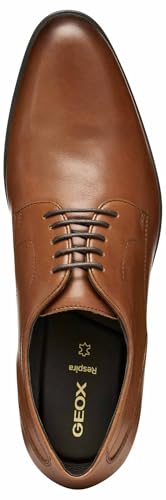 Geox Men's U Iacopo Oxford, brown, 10.54