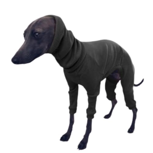 LEONIA C^O p[X C^AO[nEh ~j`AsV[㋉Lkun ₦  [΍ ^ VOR[g Zю (, XL)