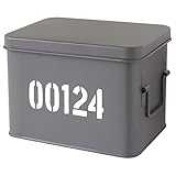 Metal epoxy. Gelco 3467937088247 Caja pequeña para medicinas Modelo de Metal Carbono 22 x 15,5 x 16 cm
