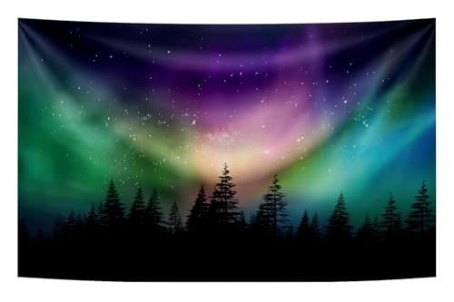 Tela de fondo Northern Lights 10x7ft para fotografía miniatura 1
