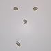 Trichuris trichiura Eggs, w.m. Microscope Slide