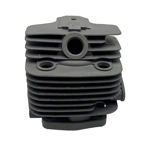 Kit piston cylindre 40 mm 004445 pour AE420 et BC42