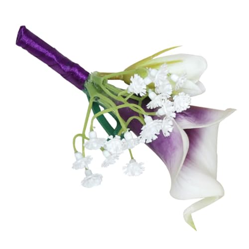 ROMISBABA EFfBOpt[RT[W V~[Vt[u[` VYVw xXg} ʐ^ƉƑpANZ