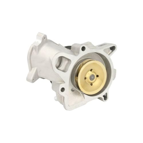 Pompa Dell'acqua Hepu P497 - 2