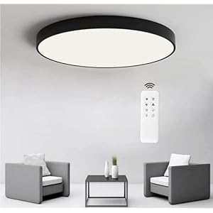 Plafondlamp Woonkamer Lamp LED Zwart Plafondlamp Ronde Ultradunne Dimbare Acryl Scherm Afstandsbediening Licht Kleur/Helderheid Voor Slaapkamer Keuken Groep Badkamer Woonkamer Modern Light