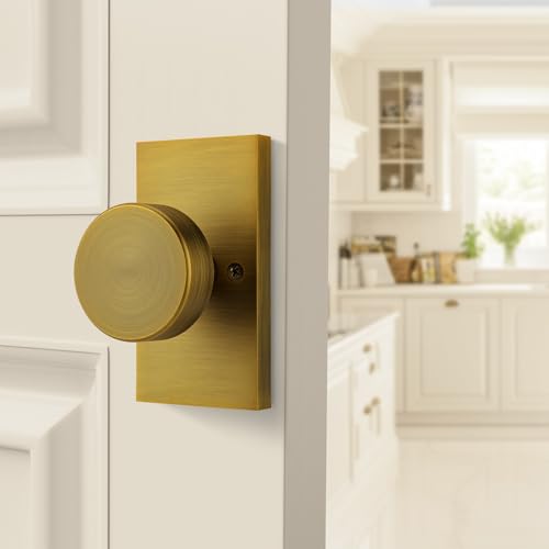ToPToToo Dummy Door Knobs Interior, Antique Brass Door Knobs for Closet, Single-Side Dummy Door Handle, Inactive Door Knobs 2 Pack by ToPToToo - Image 3