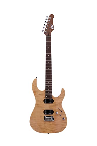 Guitare électrique 6 cordes IS-400 HH pour éliminer les bruits de fond