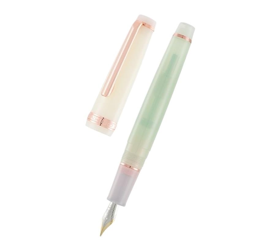 Stylo plume de poche PURYN Rose Gold Accessories 05 EF avec plume extra fine