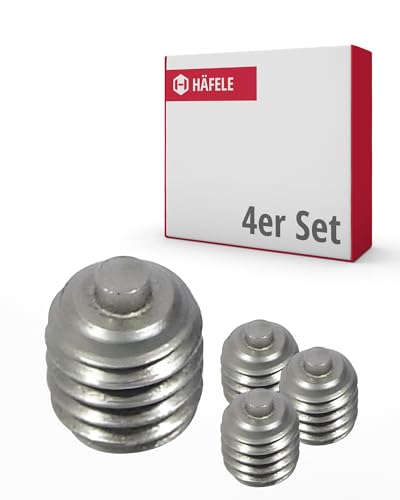 Preisvergleich Produktbild Gedotec Madenschrauben Set - Gewindestifte M6 / 4 Stück Madenschrauben M6 aus Edelstahl / Wurmschraube Sechskantkopf / Schrauben für Inbusschlüssel / Türgriff Schrauben, Schraube Türklinke
