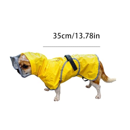 Impermeable para perro con capucha transparente que soluciona los paseos estresantes en días lluviosos 7