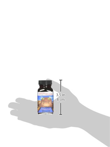 Image of Noodler's Ink Fountain Pen Bottled Ink, 3oz, Highlighter Georgia Peach