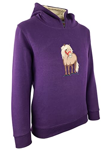 Hazy Blue Kids Girls & Boys Pullover Hoodie Hooded Sweatshirt Sizes 1-12 Years (7-8 Years, Purple Pony)