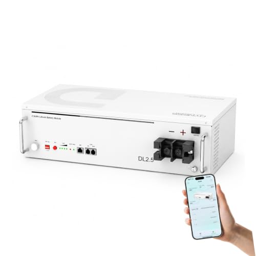 Dyness 24V 100Ah WiFi LiFePO4 Battery 100A BMS 3328W Power. Max 4P4S 2.56~40.96kWh Capacity.Low-Temp Cutoff 6000+ Deep Cycles for RVs & Off-Grid Solar Systems