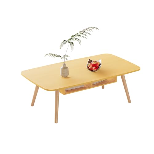 ANDWINT ローテーブル センターテーブル 一人暮らし 幅100×奥行50×高さ42.5cm リビング 机 デスク 木製 北欧風 シンプル おしゃれ 組立簡単 収納付き