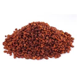 VedoMax Sea Buckthorn Berry, Seabuckthorn| No Added Colour or Flavor - 900 GM