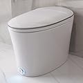 DeerValley Smart Toilet, Elongated Toilet with Auto/Blackout Flush, Foot Kick Sensor, Adjustable Heated Seat, Night Light