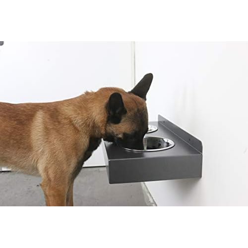 Fabricios Elegante Hängende Hunde Futterbar für die Wand aus Metall mit 2X Edelstahl Hundenapf (Titan Grau)