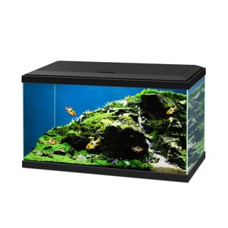 Ciano Aqua 60 LED aquarium, 58L, Black