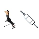 Sunny Health and Fitness 45 Degree Hyperextension Roman Chair, Steel, Grey, One Size + 86 cm Olympic Triceps Bar with Ring Collars, Olympic Weight for Weightlifting and Bodybuilding