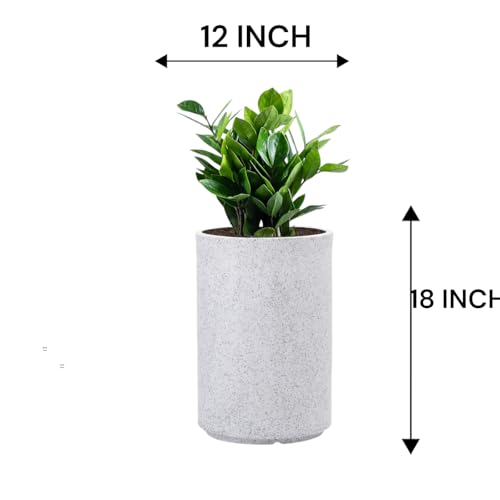 Image of GTB Cylinder German Polymer Pots for Plants Highly Durable Polymers Lightweight Indoor Outdoor Plant Pots, Flower Pot Gamla Tree Planter Container Planters(Plant not Included) (White Marble, 18 inch)