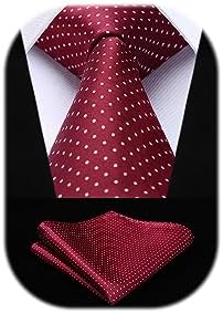 HISDERN Dot Ties for Men Wedding Tie Handkerchief Formal Business Necktie & Pocket Square Set