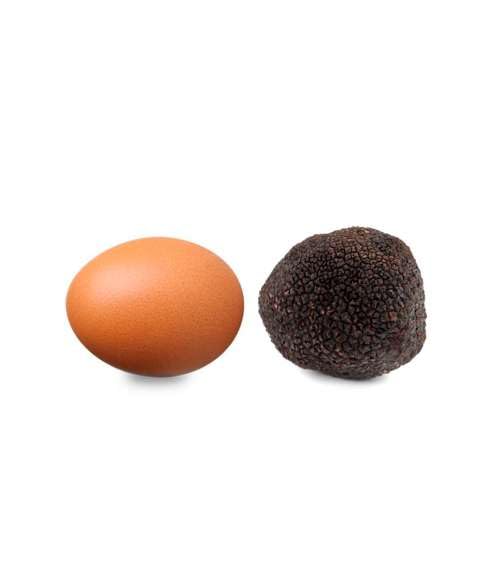 Trufa Negra de Teruel - Tuber Melanosporum L - 60gr - Trufa Fresca de Invierno