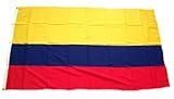 Bandera 100% poliéster resistente.