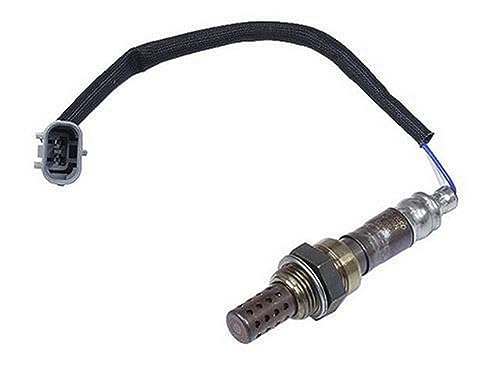 Sensor de Oxígeno Denso - 234-2010