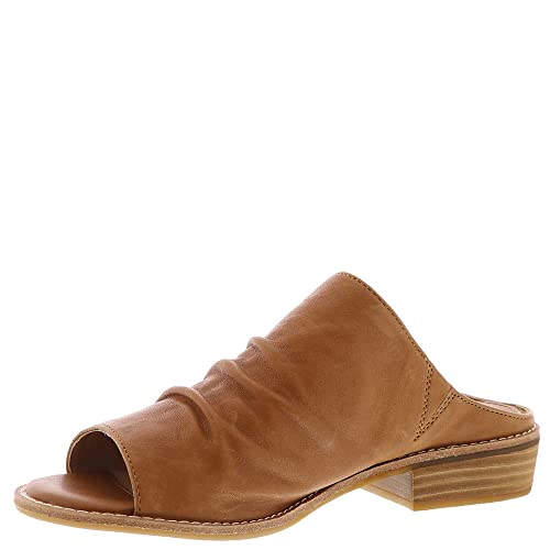 Sofft Netta Women's Sandal 8 B(M) US Luggage-Luggage4