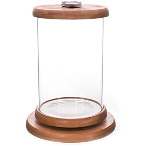 Acuario Balacoo Betta Fish con iluminación LED y base de madera Cover