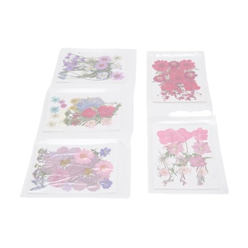 100 flores secas prensadas para manualidades tipo 3 miniatura 4