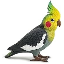 JW PEI Womens Gray Cockatiel Clutch Bag - Multicolor