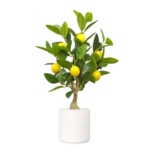 Artificial Potted Plants 20.5 Inches Fake Lemon Tree, Faux Plants
