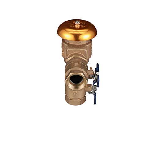 Image of Febco 765 Bronze Pressure Vacuum Breaker Backflow Preventer, 1-1 /4 inch Inlet
